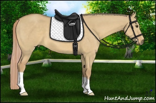 Horse Color:Palomino Dun