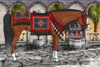 Horse Color:Bay Splash 