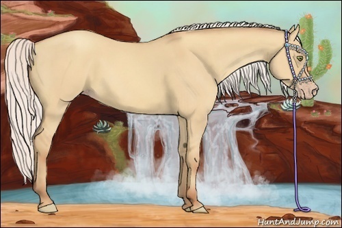 Horse Color:Silver Amber Champagne Dun