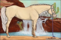 Horse Color:Silver Amber Champagne Dun 