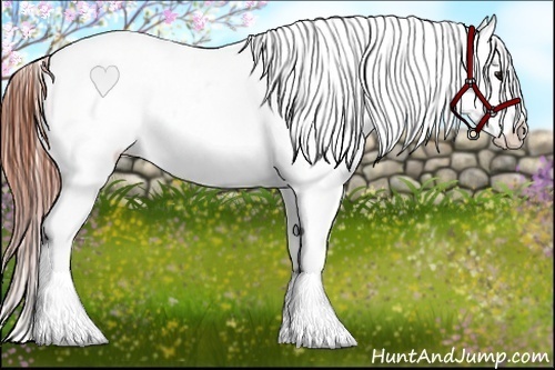 Horse Color:Bay Roan Dun Tobiano Frame Blanket 