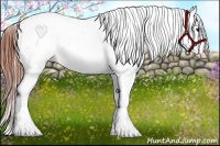 Horse Color:Bay Roan Dun Tobiano Frame Blanket 