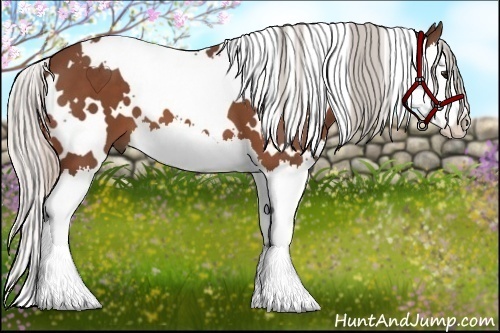 Horse Color:White Spotted Silver Bay Splash 
