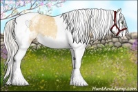 Horse Color:White Spotted Silver Classic Cream Champagne Splash Tobiano Rabicano