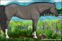 Horse Color:Smoky Grullo 