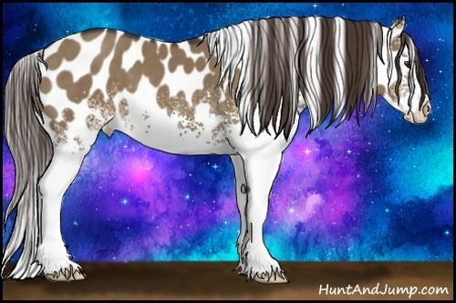 Horse Color:White Spotted Liver Red Dun Appaloosa 