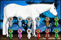 Horse Color:Gray Black Tobiano 