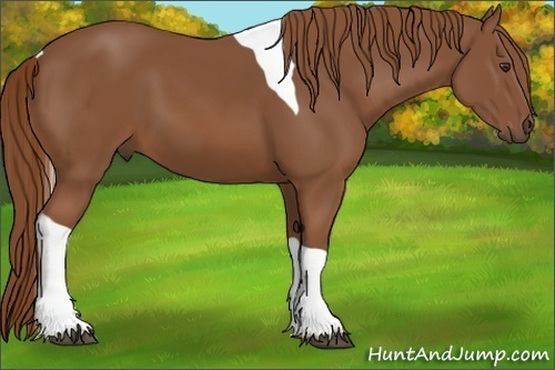 Horse Color:Chestnut Tobiano