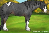 Horse Color:Liver Chestnut Sabino Varnish