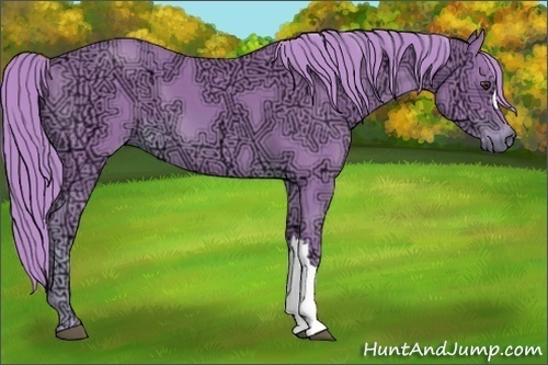 Horse Color:Watercolor Chestnut Ice 