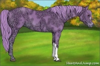 Horse Color:Watercolor Chestnut Ice 