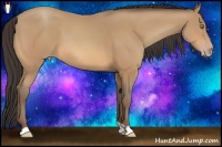 Horse Color:Amber Champagne 
