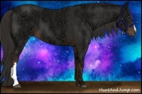 Horse Color:Liver Chestnut Ice