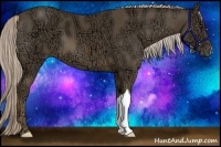 Horse Color:Chocolate Palomino Ice 