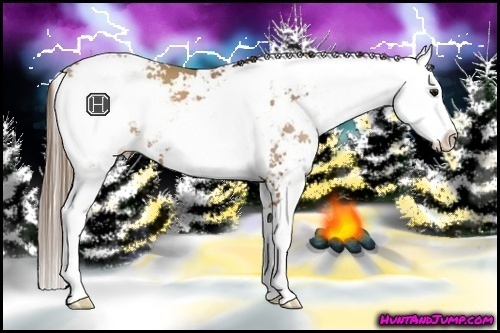 Horse Color:Black Pearl Sabino
