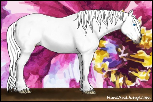 Horse Color:Gray Silver Bay Splash Appaloosa 