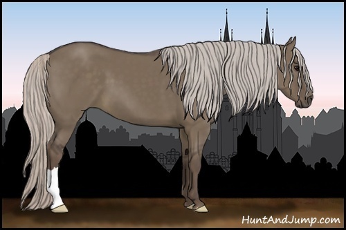 Horse Color:Silver Grullo 