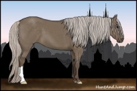 Horse Color:Silver Grullo