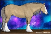 Horse Color:Chocolate Palomino Dun Sabino Splash