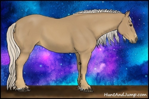 Horse Color:Palomino Sabino