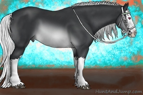 Horse Color:Silver Brown Chinchilla Splash 