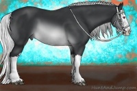 Horse Color:Silver Brown Chinchilla Splash 