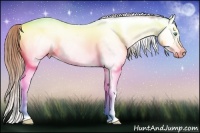 Horse Color:White Spotted Smoky Black Pearl Splash Near Fewspot 