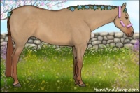 Horse Color:Red Dun