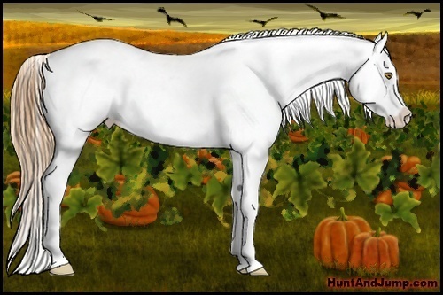 Horse Color:Red Roan Pearl Varnish Rabicano 