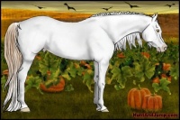Horse Color:Red Roan Pearl Varnish Rabicano 