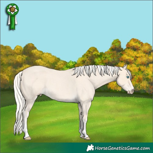Horse Color:Cremello Roan