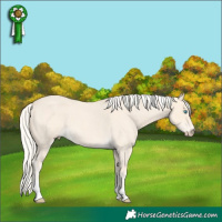 Horse Color:Cremello Roan