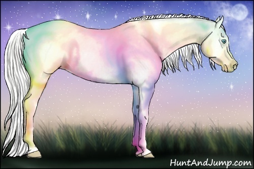 Horse Color:Silver Smoky Creme Appaloosa 