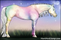 Horse Color:Silver Smoky Creme Appaloosa 