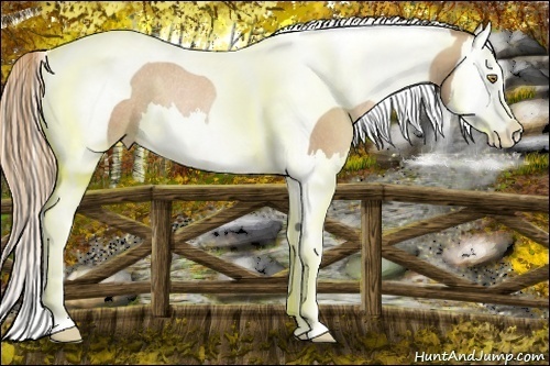 Horse Color:Chestnut Pearl Splash Tobiano Rabicano 