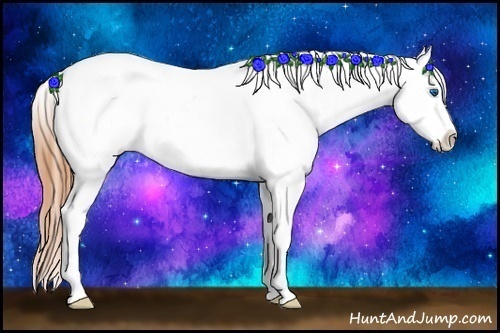 Horse Color:White Spotted Buckskin Splash Frame Appaloosa 