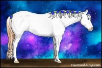 Horse Color:White Spotted Buckskin Splash Frame Appaloosa 