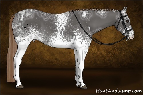 Horse Color:White Spotted Liver Chestnut Ice 