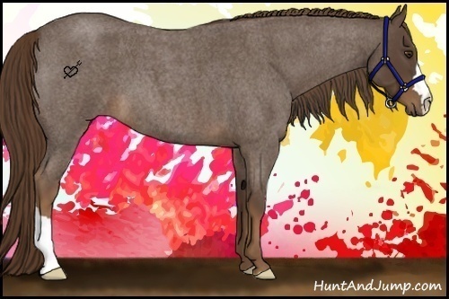 Horse Color:Liver Red Roan 