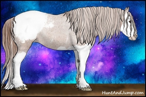 Horse Color:Chestnut Splash Snowcap Rabicano