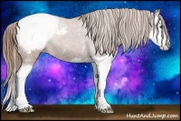 Horse Color:Chestnut Splash Snowcap Rabicano 