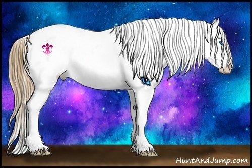 Horse Color:Chestnut Splash Blanket 