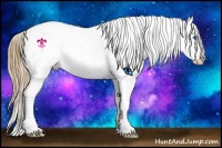 Horse Color:Chestnut Splash Appaloosa