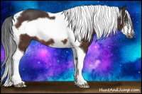 Horse Color:Bay Tobiano Frame Rabicano