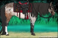 Horse Color:Buckskin Ice 