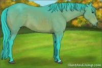 Horse Color:Watercolor Bay