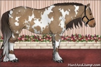 Horse Color:White Spotted Liver Red Dun