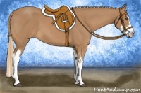 Horse Color:Red Roan Splash Frame