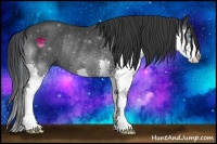 Horse Color:Black Splash Rabicano