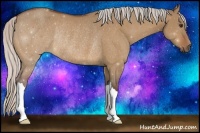 Horse Color:Silver Bay Dun Rabicano